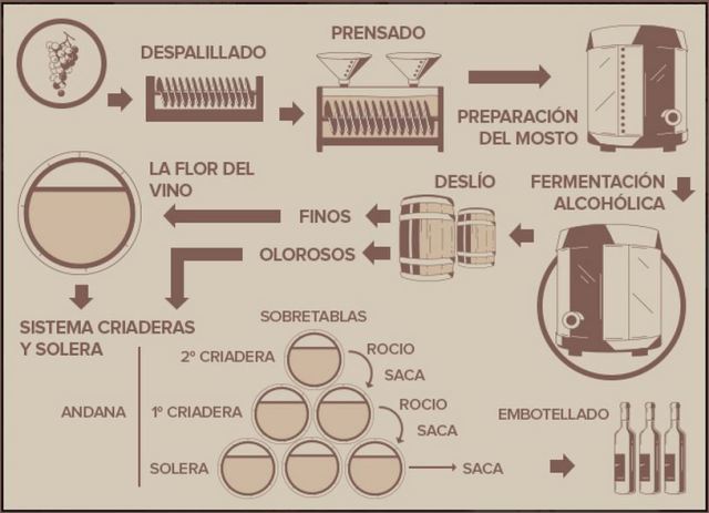 vinos generosos